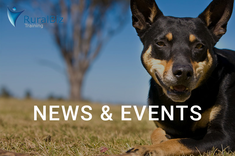 News and Events Placeholder